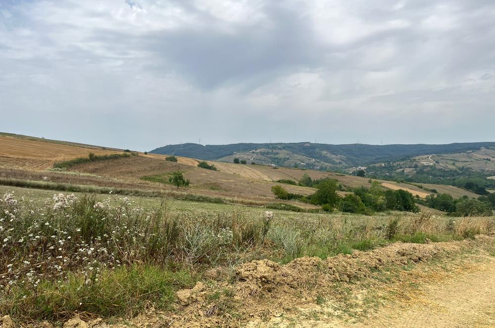 Kocaeli Kandıra Kocakaymaz OGSB Yakını Satılık Arazi