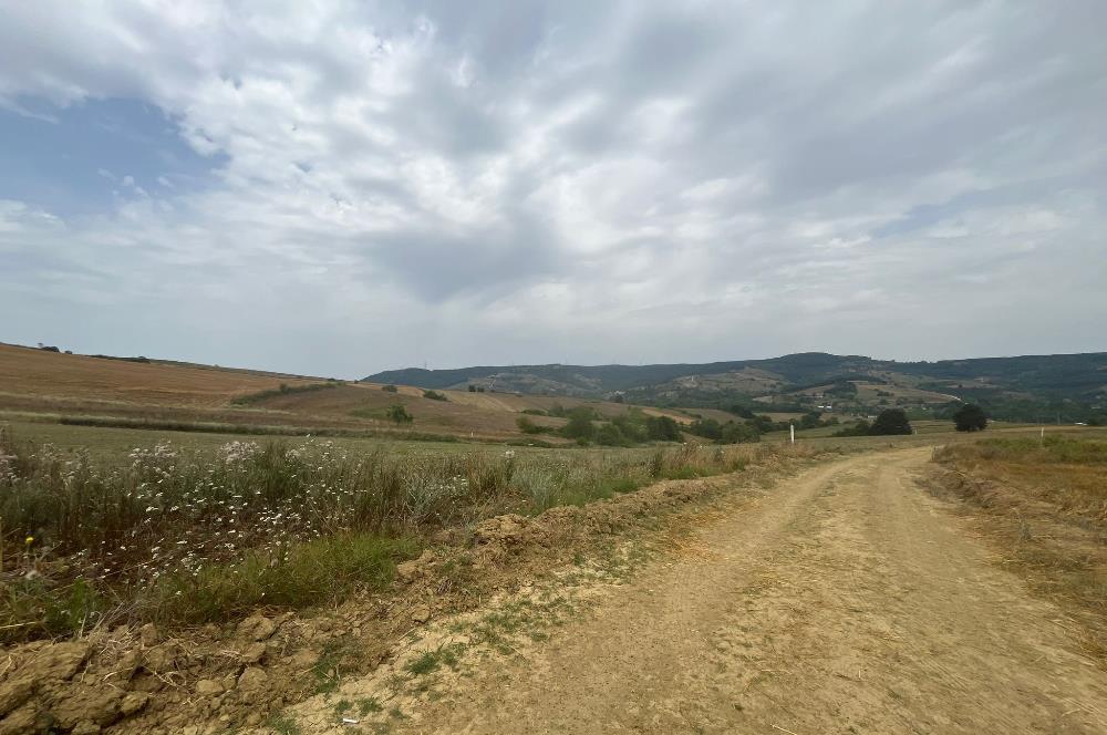 Kocaeli Kandıra Kocakaymaz OGSB Yakını Satılık Arazi