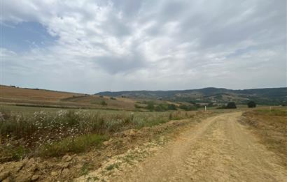 Kocaeli Kandıra Kocakaymaz OGSB Yakını Satılık Arazi