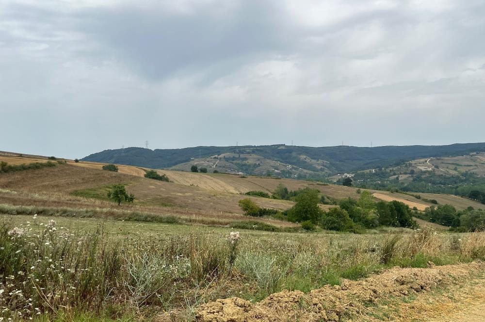 Kocaeli Kandıra Kocakaymaz OGSB Yakını Satılık Arazi