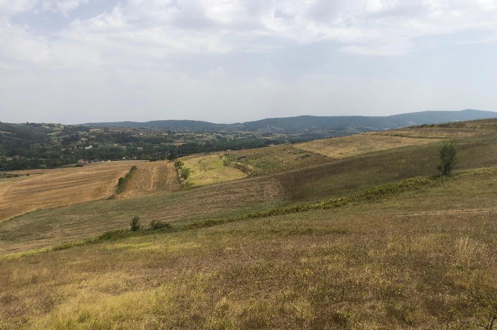 Kocaeli Kandıra Topluca OGSB Yakını Satılık Arazi