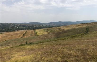 Kocaeli Kandıra Topluca OGSB Yakını Satılık Arazi