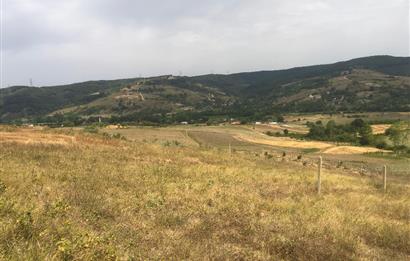 Kocaeli Kandıra Topluca OGSB Yakını Satılık Arazi