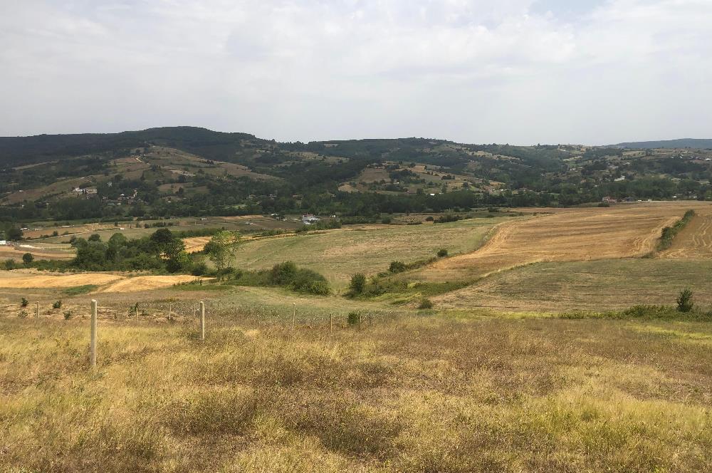 Kocaeli Kandıra Topluca OGSB Yakını Satılık Arazi