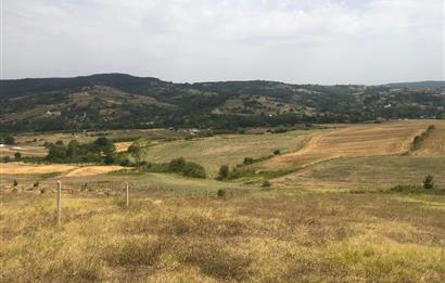 Kocaeli Kandıra Topluca OGSB Yakını Satılık Arazi