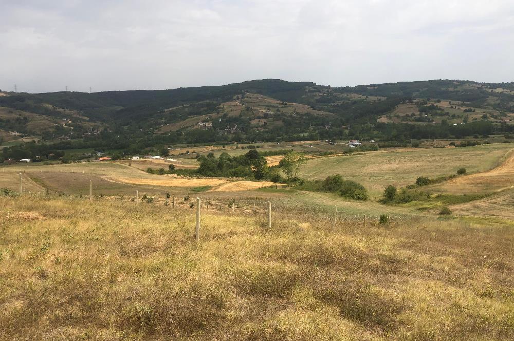 Kocaeli Kandıra Topluca OGSB Yakını Satılık Arazi