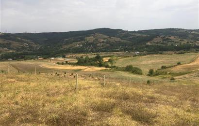 Kocaeli Kandıra Topluca OGSB Yakını Satılık Arazi