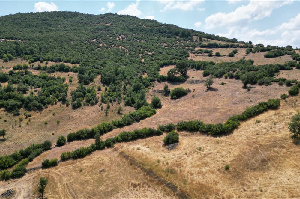 C21 BAL'DAN ALTIEYLÜL İLÇESİ BAYAT MAHALLESİNDE BARAJ MANZARALI PARSEL 