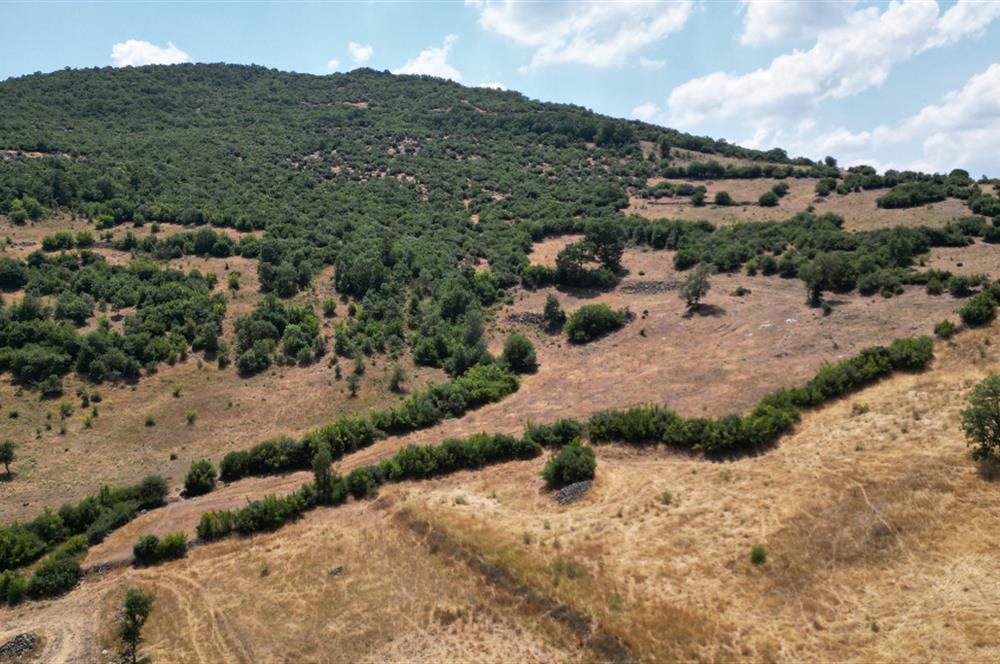 C21 BAL'DAN ALTIEYLÜL İLÇESİ BAYAT MAHALLESİNDE BARAJ MANZARALI PARSEL 