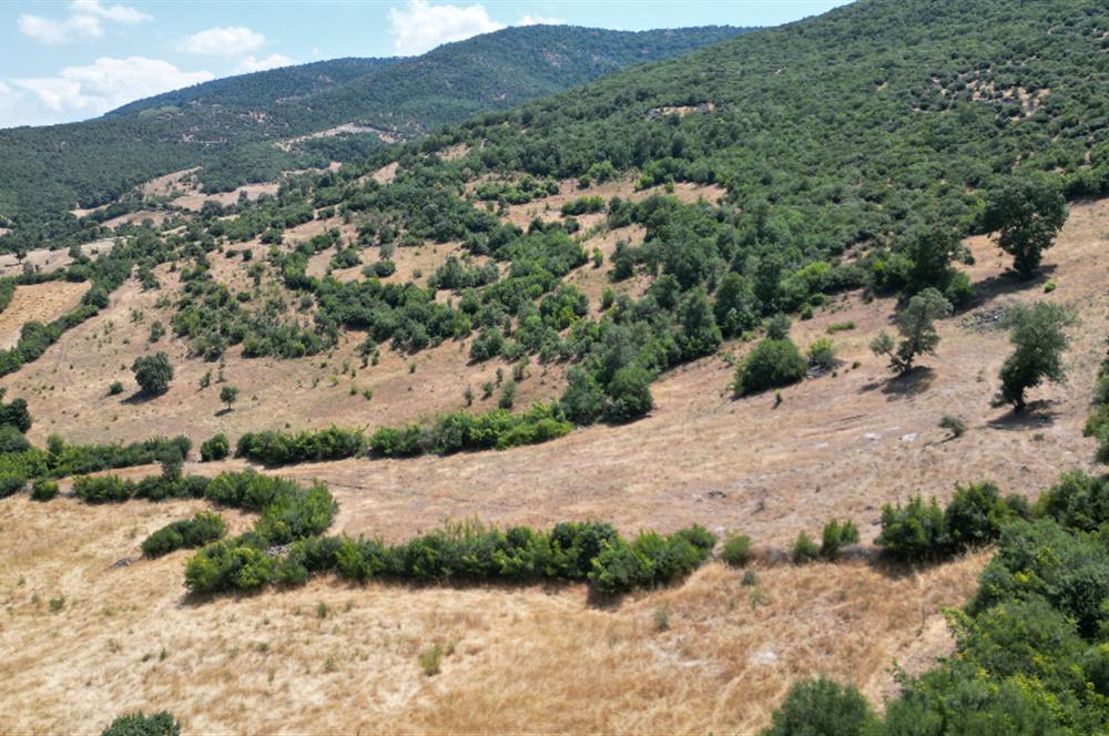 C21 BAL'DAN ALTIEYLÜL İLÇESİ BAYAT MAHALLESİNDE BARAJ MANZARALI PARSEL 