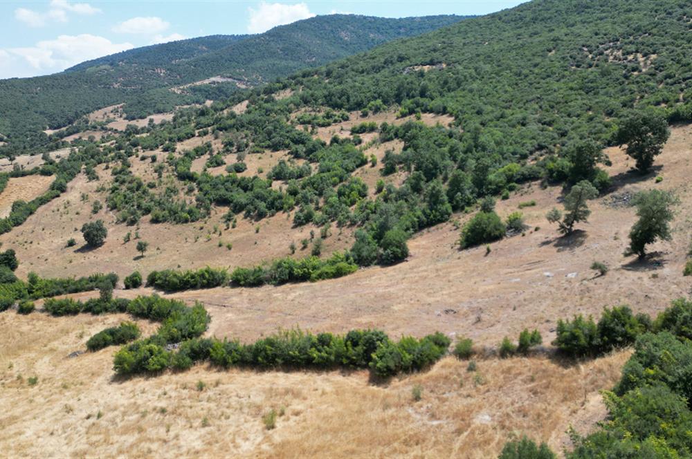 C21 BAL'DAN ALTIEYLÜL İLÇESİ BAYAT MAHALLESİNDE BARAJ MANZARALI PARSEL 