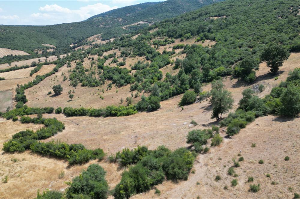 C21 BAL'DAN ALTIEYLÜL İLÇESİ BAYAT MAHALLESİNDE BARAJ MANZARALI PARSEL 