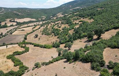 C21 BAL'DAN ALTIEYLÜL İLÇESİ BAYAT MAHALLESİNDE BARAJ MANZARALI PARSEL 