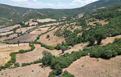 C21 BAL'DAN ALTIEYLÜL İLÇESİ BAYAT MAHALLESİNDE BARAJ MANZARALI PARSEL 