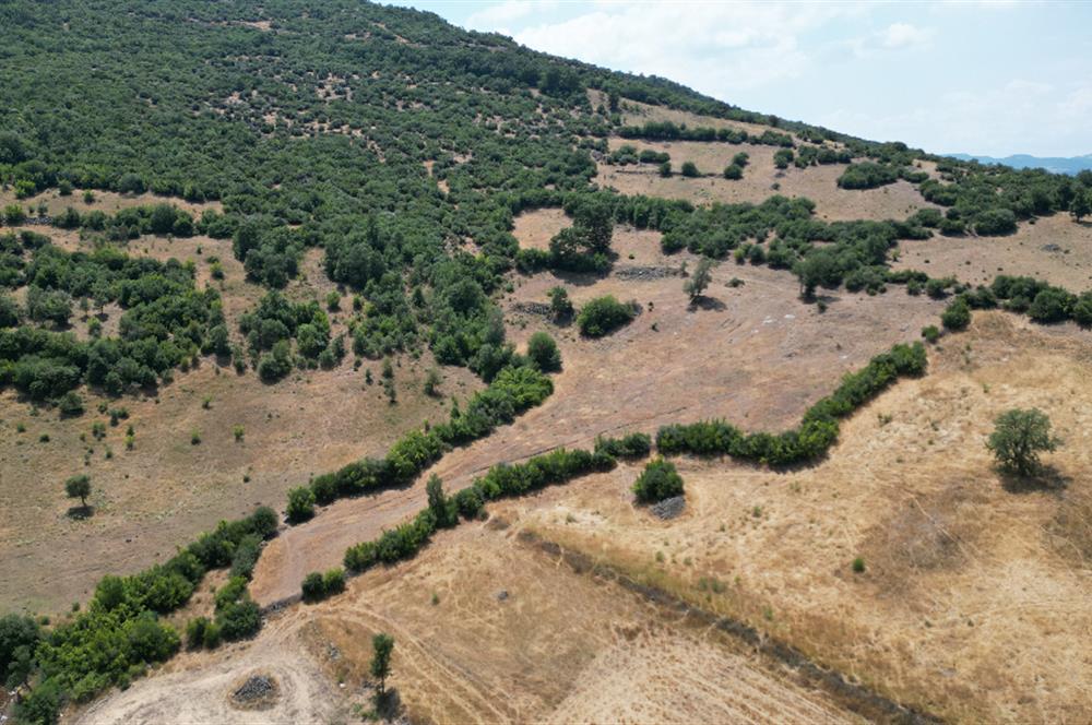 C21 BAL'DAN ALTIEYLÜL İLÇESİ BAYAT MAHALLESİNDE BARAJ MANZARALI PARSEL 