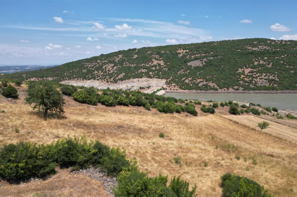 C21 BAL'DAN ALTIEYLÜL İLÇESİ BAYAT MAHALLESİNDE BARAJ MANZARALI PARSEL 