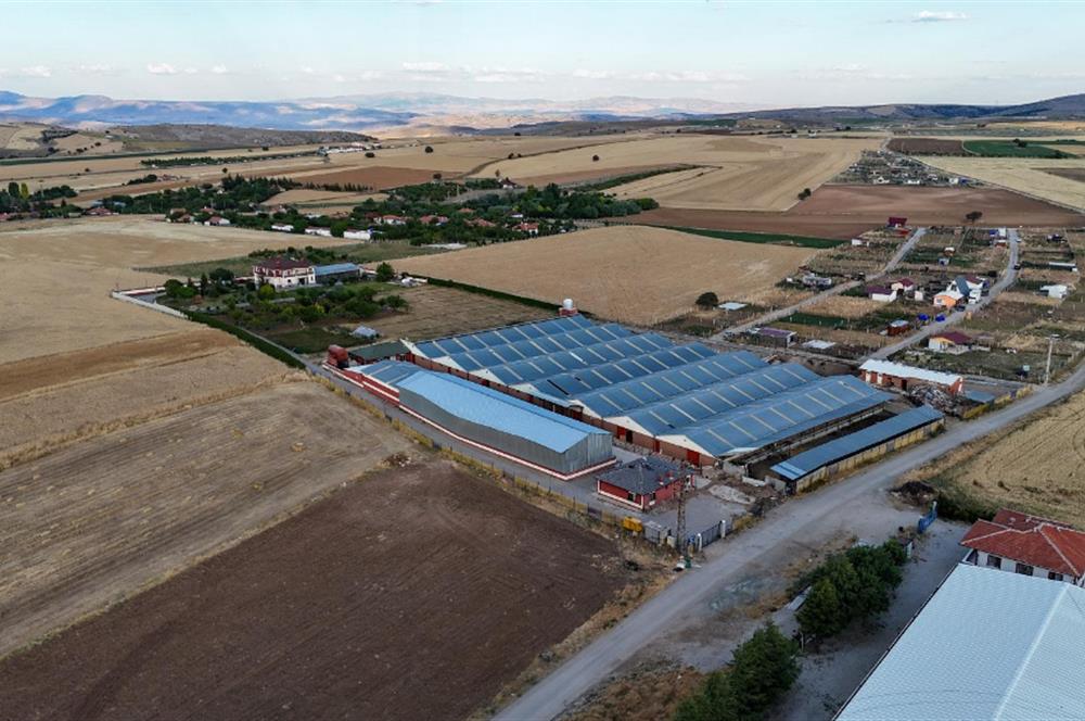 ELMADAĞ İLÇESİNDE 20.000 m2 BESİ ÇİFTLİĞİ