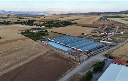 ELMADAĞ İLÇESİNDE 20.000 m2 BESİ ÇİFTLİĞİ