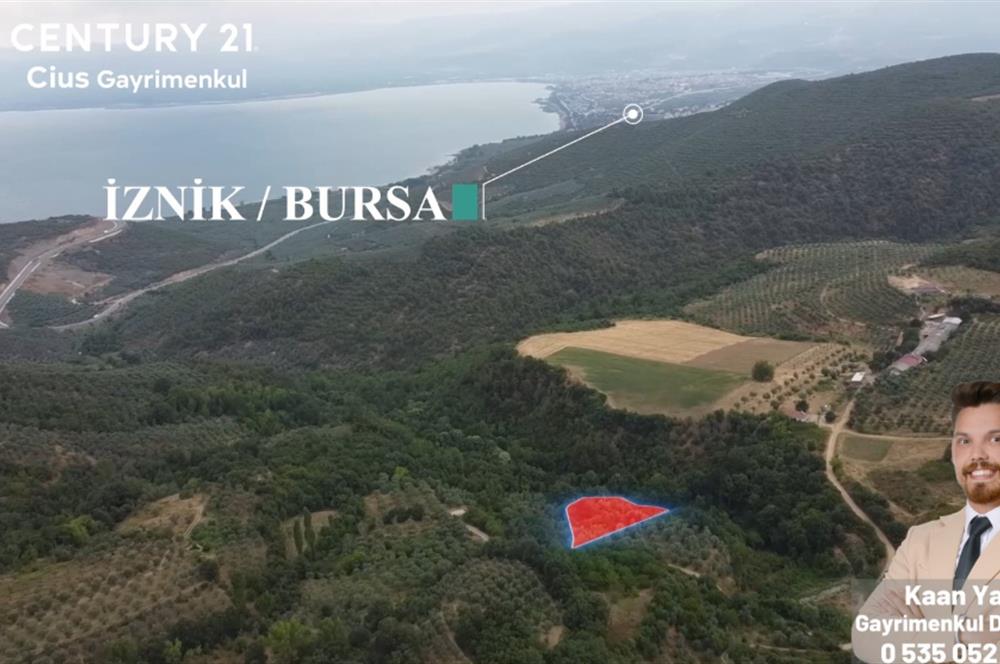 C21 Cius; Bursa/İznik'de Satılık m2 Tarla