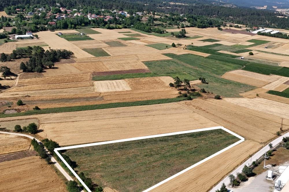 C21 TERAS - BOLU MERKEZ BANAZ KÖYÜ YATIRIMLIK SATILIK TARLA