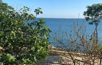 Beautiful Flight near Sea Side in İstanbul