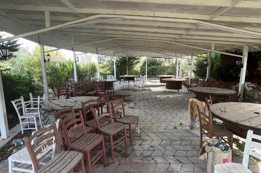 C21 WİNNER KEPSUT YOLU ÜZERİ KİRALIK RESTAURANT