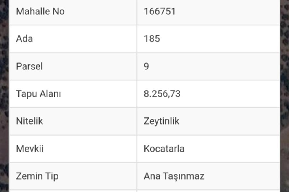 Burhaniye Dutluca’’ta, 8.256 metrekare, Satılık Zeytinlik