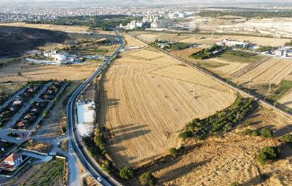 C21 LOCA'DAN BALIKESİR ANAYOLU'NDA 47 DÖNÜM SATILIK TARLA