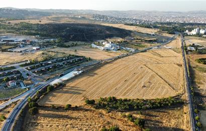 C21 LOCA'DAN BALIKESİR ANAYOLU'NDA 47 DÖNÜM SATILIK TARLA