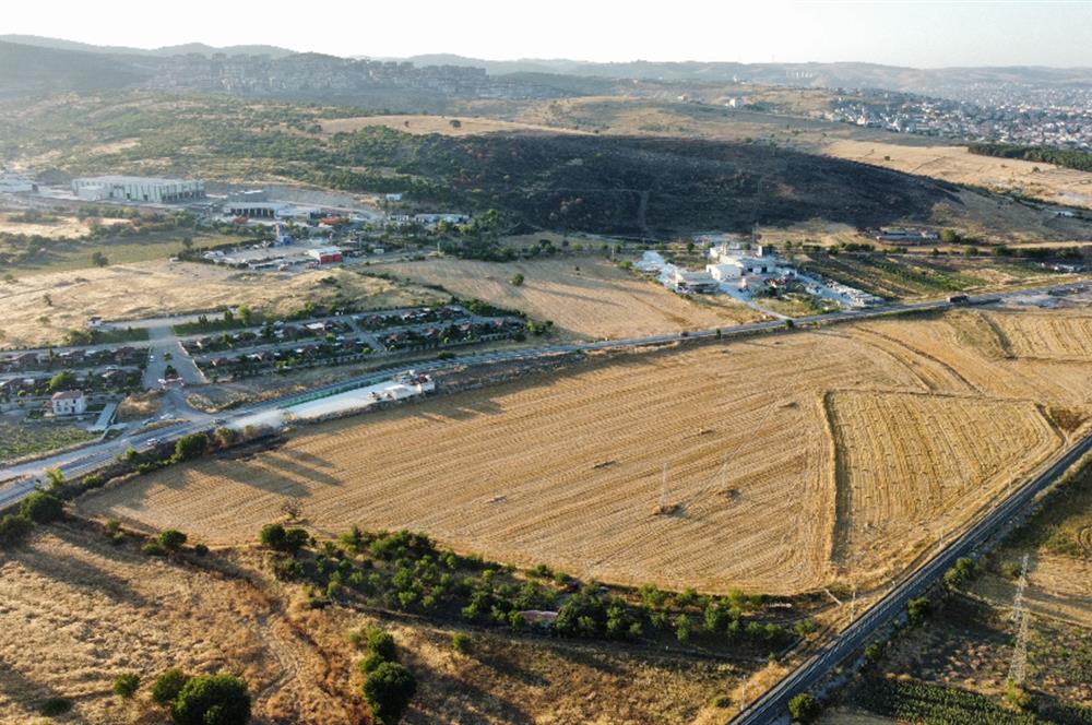 C21 LOCA'DAN BALIKESİR ANAYOLU'NDA 47 DÖNÜM SATILIK TARLA