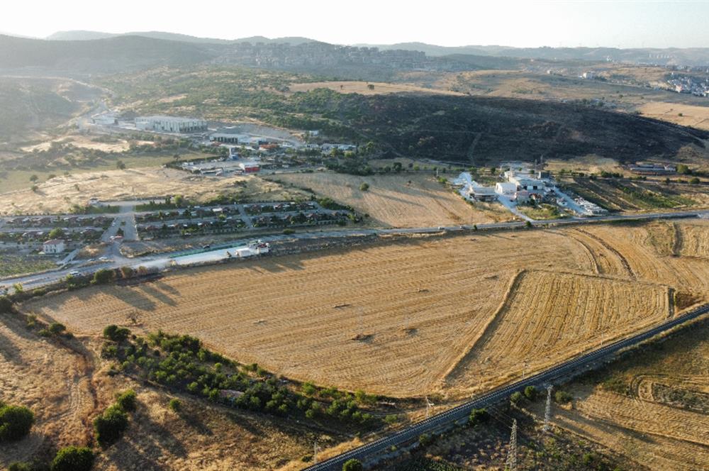 C21 LOCA'DAN BALIKESİR ANAYOLU'NDA 47 DÖNÜM SATILIK TARLA