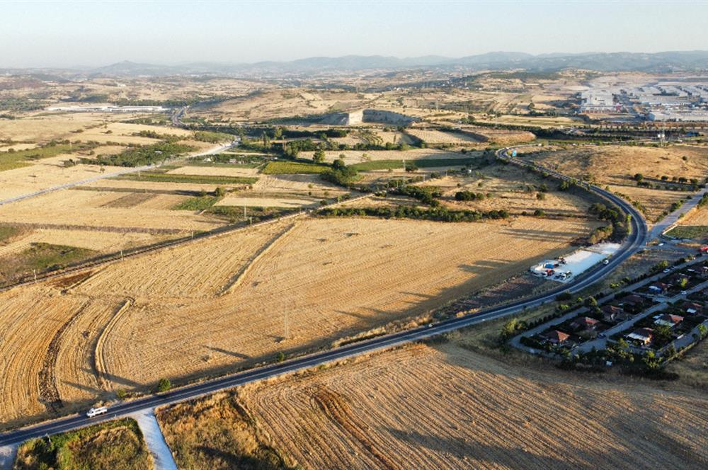 C21 LOCA'DAN BALIKESİR ANAYOLU'NDA 47 DÖNÜM SATILIK TARLA