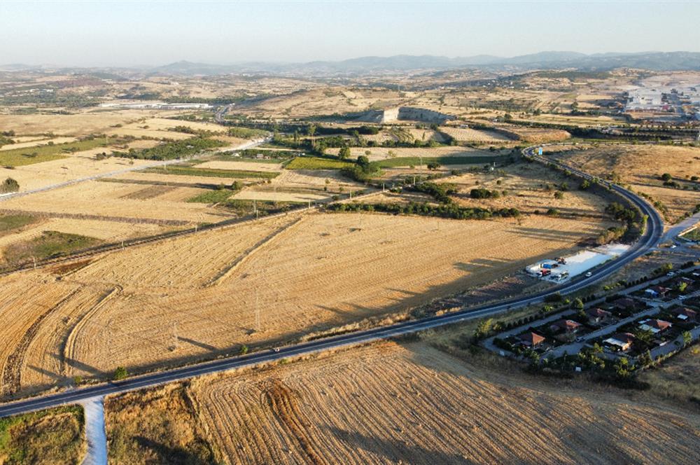 C21 LOCA'DAN BALIKESİR ANAYOLU'NDA 47 DÖNÜM SATILIK TARLA