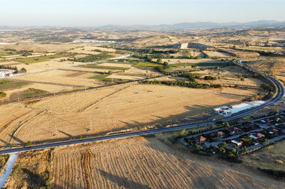 C21 LOCA'DAN BALIKESİR ANAYOLU'NDA 47 DÖNÜM SATILIK TARLA