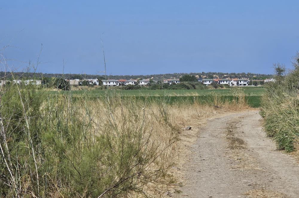 BALIKESİR - GÖMEÇ - YAYA'DA SATILIK ARAZİ