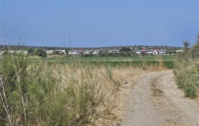 BALIKESİR - GÖMEÇ - YAYA'DA SATILIK ARAZİ