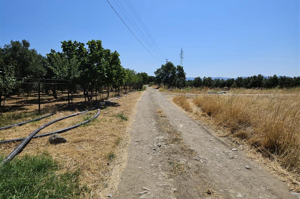 BALIKESİR - GÖMEÇ - YAYA'DA SATILIK ARAZİ