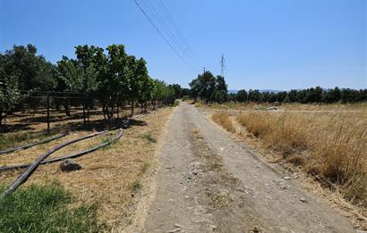 BALIKESİR - GÖMEÇ - YAYA'DA SATILIK ARAZİ