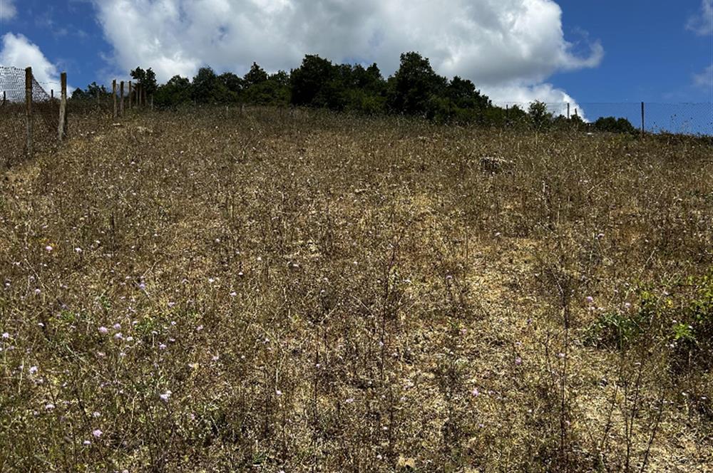 YATIRIM DEĞERİ YÜKSEK BEYKOZ İSHAKLI KONUT İMARLI SATILIK ARSA