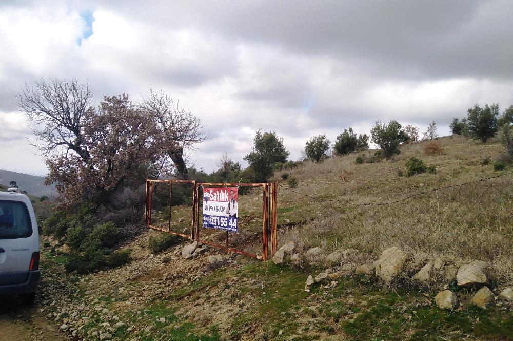 Gömeç Kubaşlar'da Satılık, 8471 m², Yolu ve Elektriği Olan Arazi