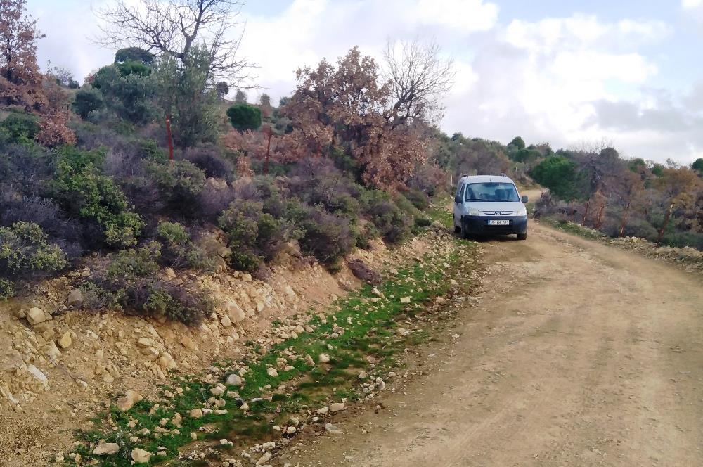 Gömeç Kubaşlar'da Satılık, 8471 m², Yolu ve Elektriği Olan Arazi