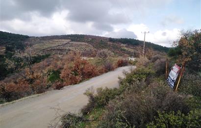 Gömeç Kubaşlar'da Satılık, 8471 m², Yolu ve Elektriği Olan Arazi