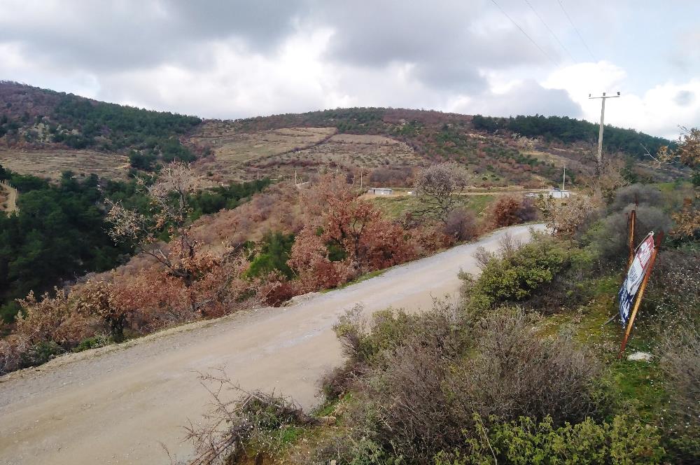 Gömeç Kubaşlar'da Satılık, 8471 m², Yolu ve Elektriği Olan Arazi