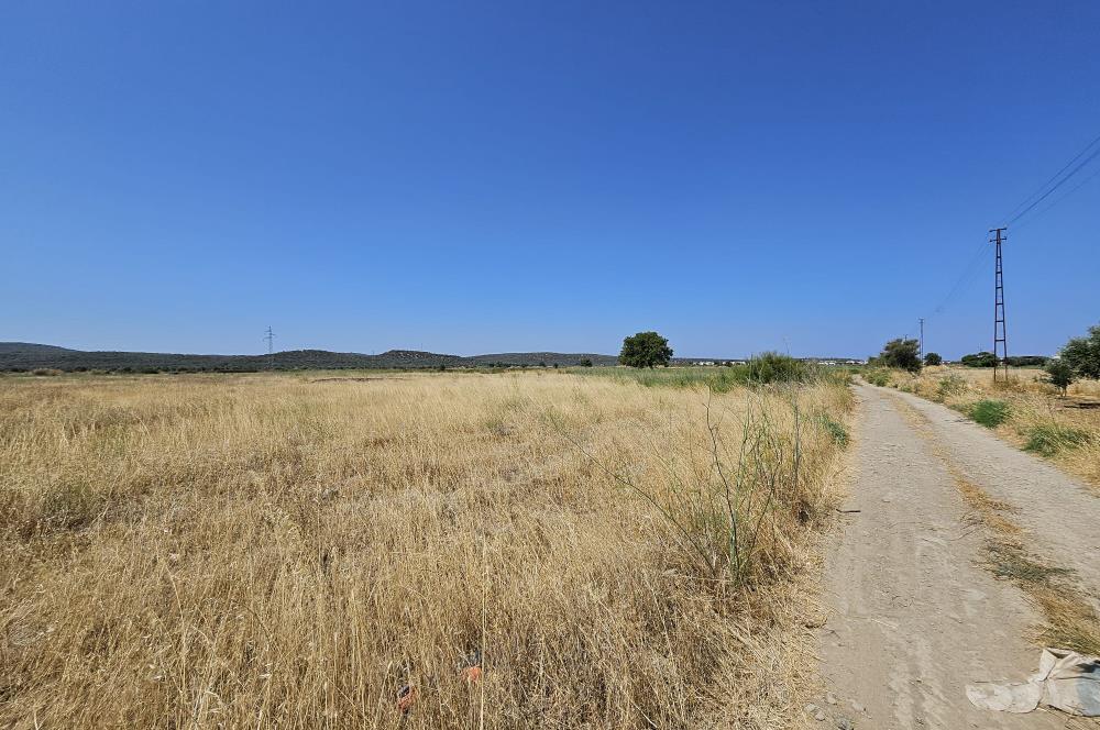 BALIKESİR - GÖMEÇ - YAYA'DA SATILIK ARAZİ