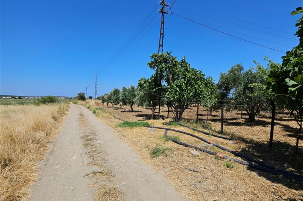 BALIKESİR - GÖMEÇ - YAYA'DA SATILIK ARAZİ