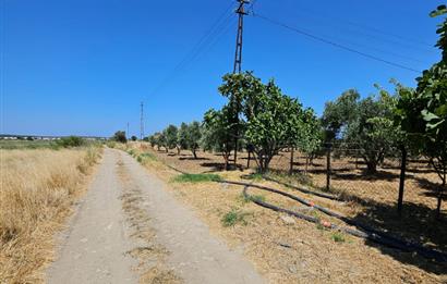 BALIKESİR - GÖMEÇ - YAYA'DA SATILIK ARAZİ