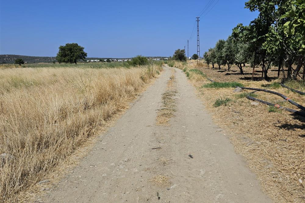 BALIKESİR - GÖMEÇ - YAYA'DA SATILIK ARAZİ