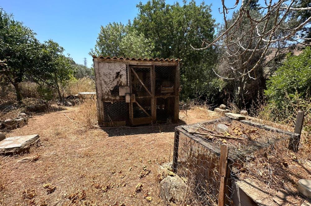 Bodrum  Dereköy ‘de Satılık  Hayallerinizde ki Tas  Ev 