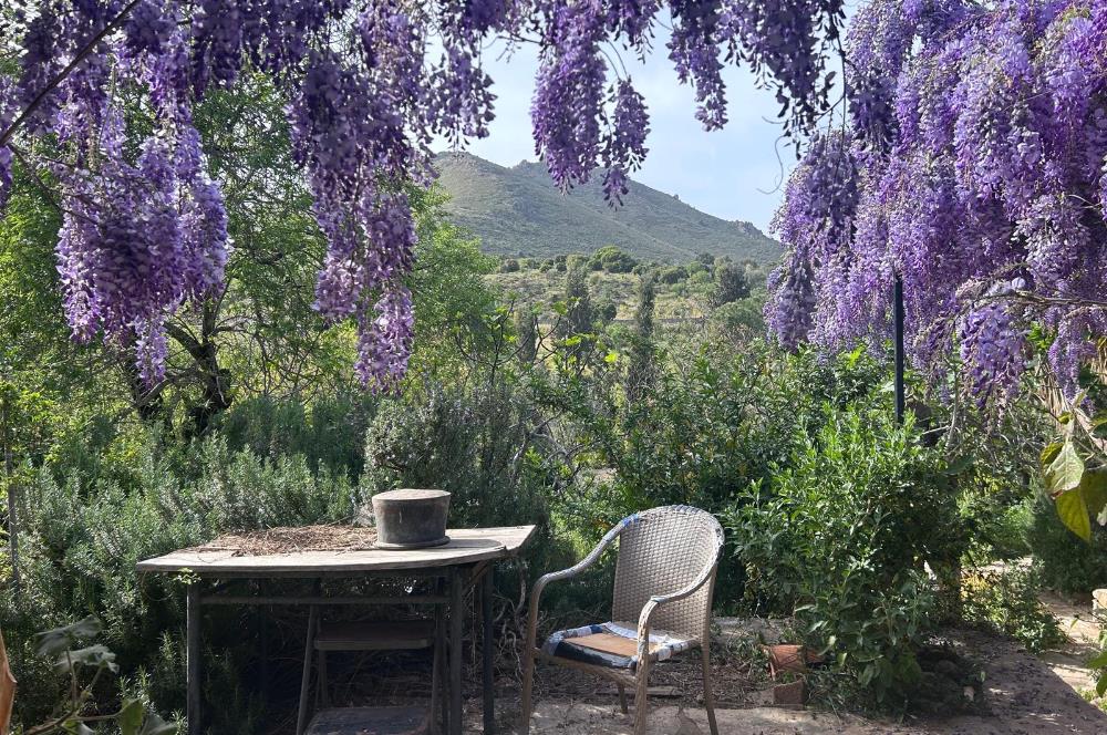 Bodrum  Dereköy ‘de Satılık  Hayallerinizde ki Tas  Ev 