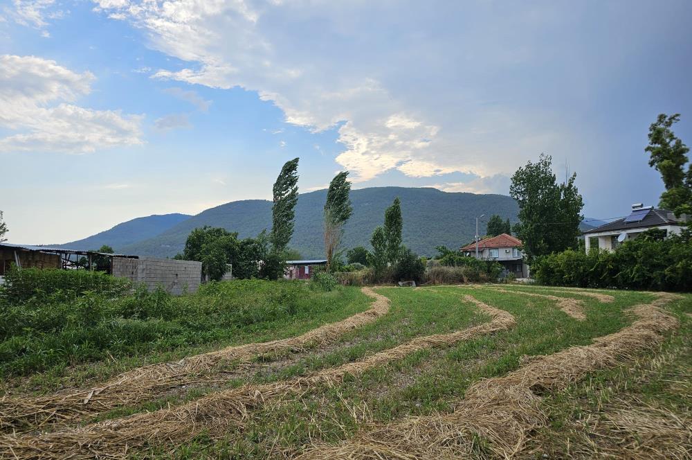 SEYDİKEMER ÖREN YERLEŞİM YERİ İÇİNDE SATILIK TARLA